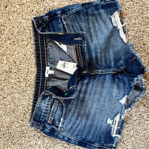 Aerie Dark Blue Denim Shorts